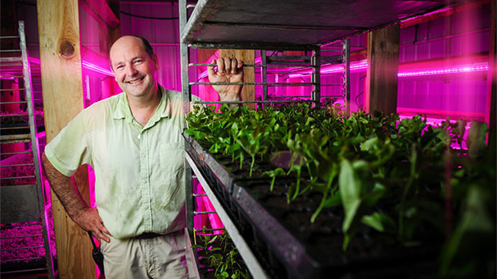 Jean Marc Versolato, Plant Health Department, Bailey poseert naast groeiende planten onder GreenPower LED's van Philips Lighting