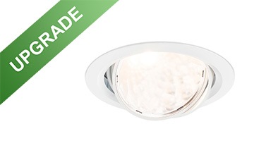 GreenSpace Accent Cardanic