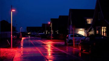 Une recette lumineuse dédiée pour protéger un habitat naturel précieux