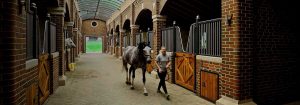 Bourne Hill Stables creëert een veiligere omgeving met UV-C-verlichting